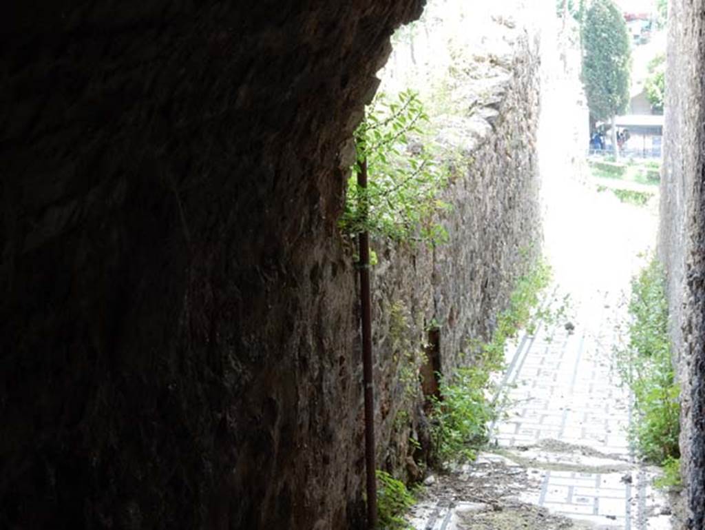 VIII.2.1 Pompeii. May 2018. Looking south along corridor on lower level. Photo courtesy of Buzz Ferebee.