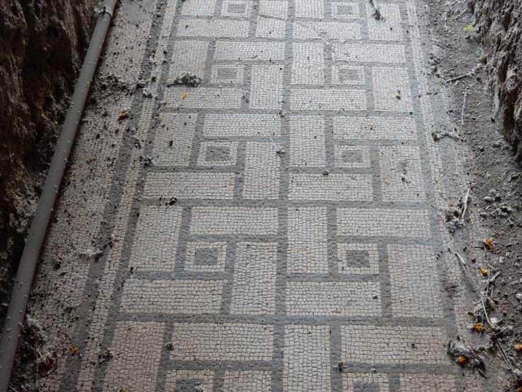 VIII.2.1 Pompeii. May 2018. Detail of black and white mosaic in the long corridor of the lower floor.
This was paved with white mosaic delineated in black with a combination of rectangles set around into a square containing a black square. Photo courtesy of Buzz Ferebee.