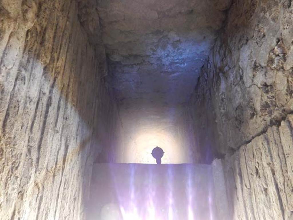 VIII.2.1 Pompeii. May 2018. Lower area, south side of south corridor of lower level. Photo courtesy of Buzz Ferebee.