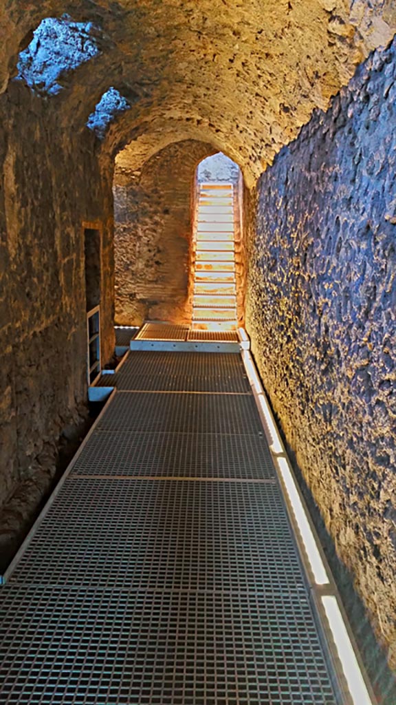 VIII.2.1 Pompeii. 2017/2018/2019
Lower level 1, looking north along east corridor/cryptoporticus 29 towards steps to ground floor level above.
Photo courtesy of Giuseppe Ciaramella.