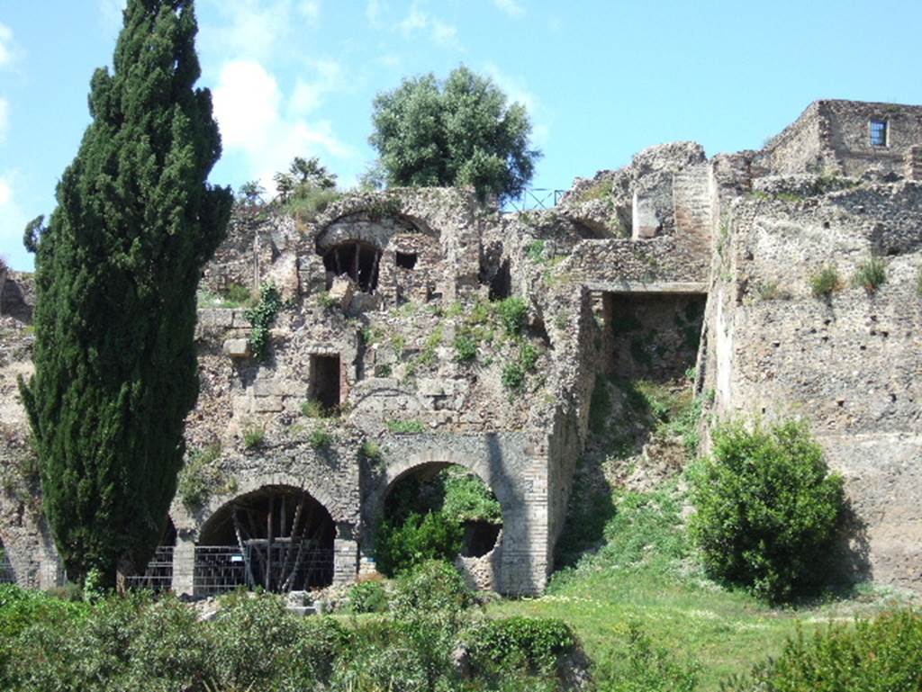 Rear of VIII.2.1 Pompeii. May 2006. Looking north towards rear of Casa di Championnet I. This can be seen on the left between the dark conifer and the tree in the centre of the photo. The south portico would have been on the present top level, beneath it the room with a vaulted ceiling.