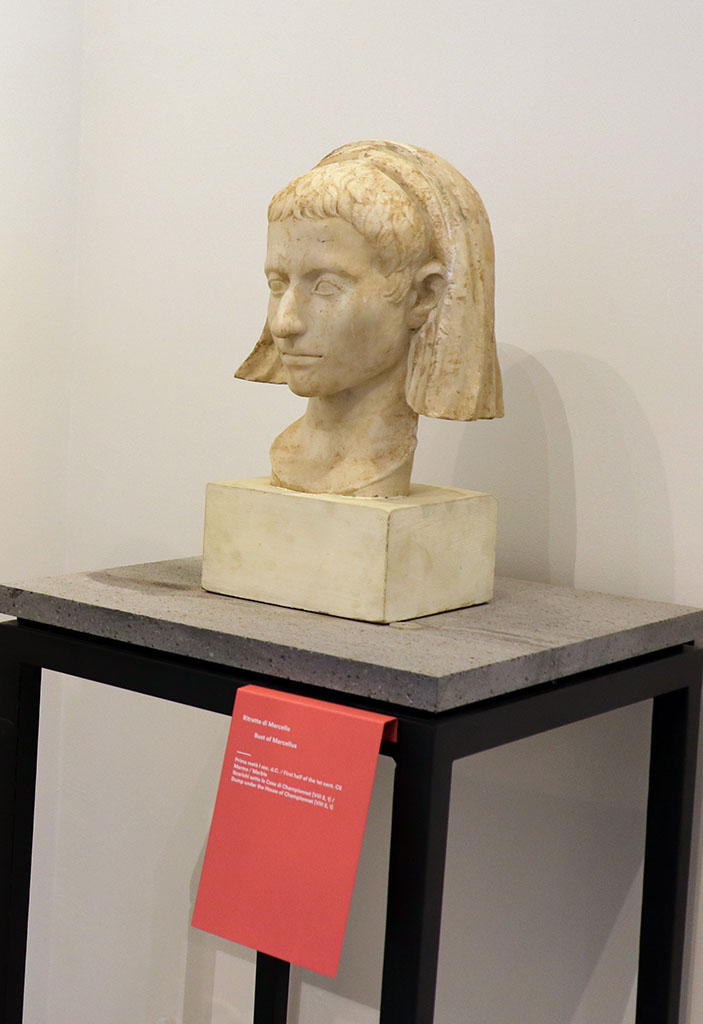 VIII.2.1 Pompeii. February 2021.
Marble bust of Marcellus, found in the debris under the terrace of the House of Championnet, on display in Antiquarium at VIII.1.4.
Photo courtesy of Fabien Bièvre-Perrin (CC BY-NC-SA).
(Note: according to Maiuri, p.106 above, this was found in 1937 among the old debris of the Temple of Venus).