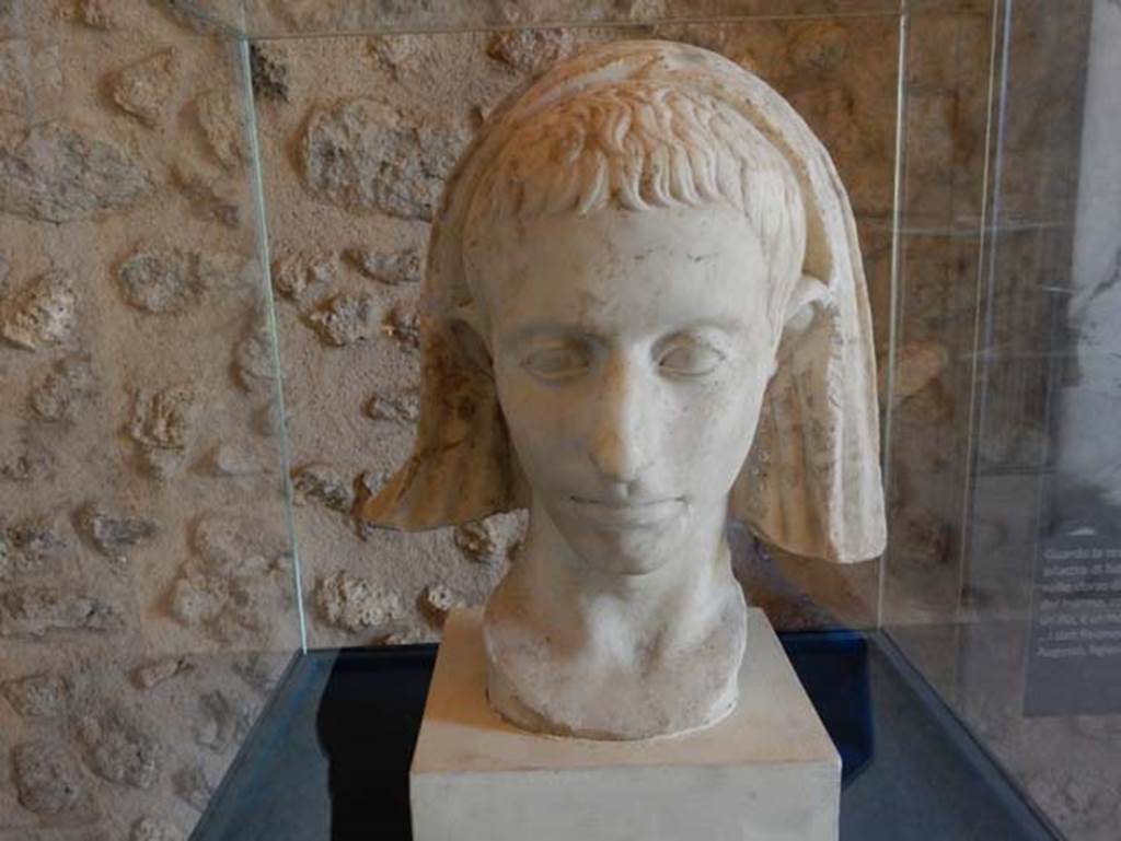 On display in Championnet complex Pompeii. May 2018. Marble veiled head.
Photo courtesy of Buzz Ferebee.