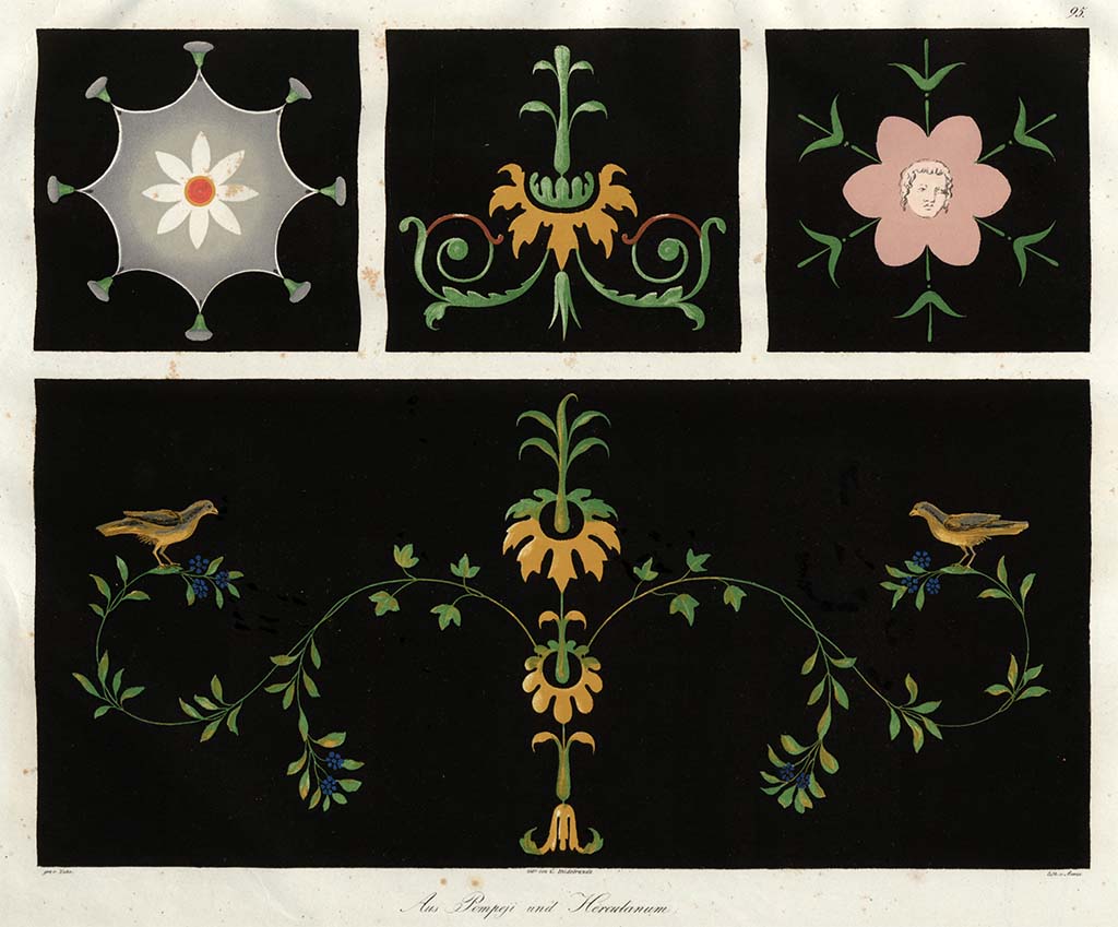 VIII.2.1/3. C.1828, drawings by Zahn in Naples Museum.
Decorations, top line in the middle, described as from house next to Basilica.
See Zahn, W., 1828-29. Die schönsten Ornamente und merkwürdigsten Gemälde aus Pompeji, Herkulanum und Stabiae: I. Berlin: Reimer, taf. 95.