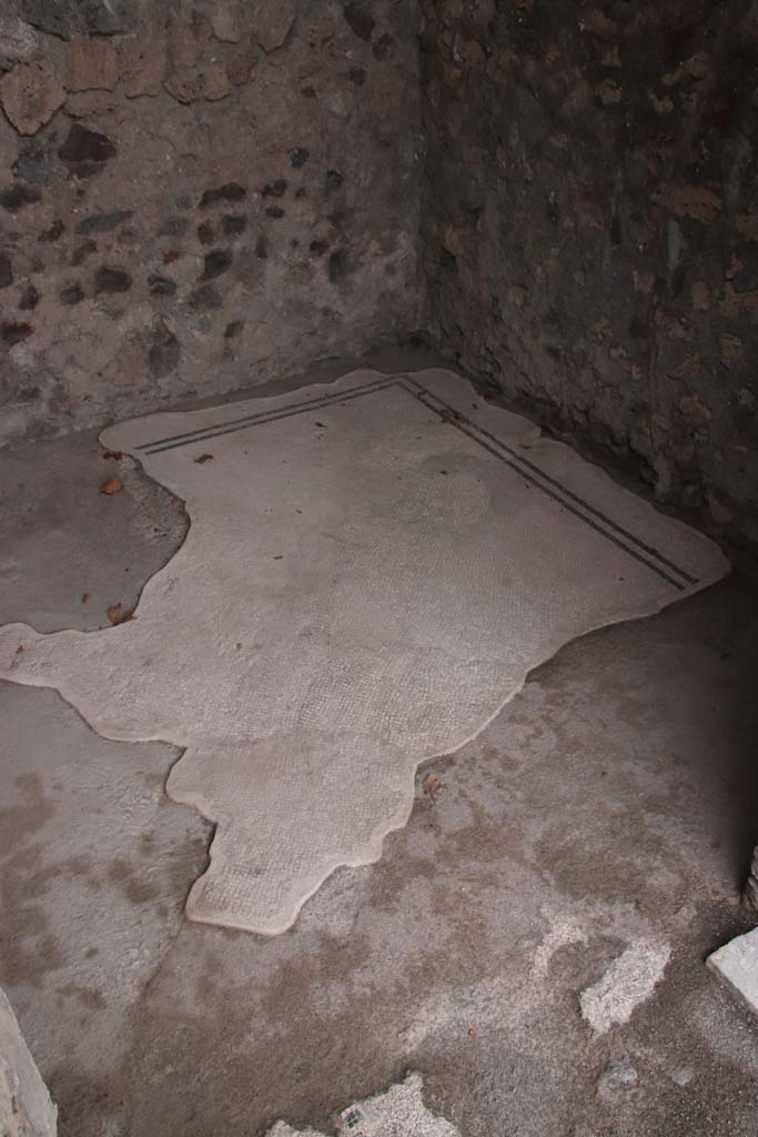 VIII.2.3 Pompeii. October 2020. Mosaic flooring in cubiculum on east side of entrance corridor.
Photo courtesy of Klaus Heese.