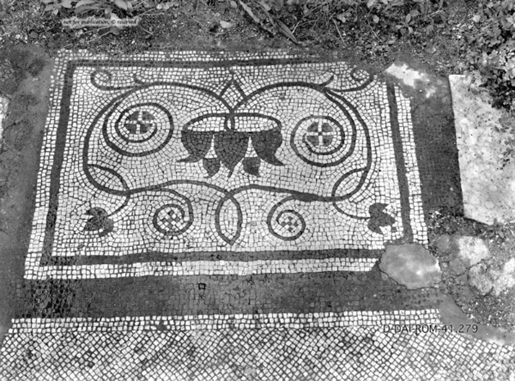 VIII.2.3 Pompeii. c.1930. Decorated mosaic from cubiculum in south-east corner of atrium, according to Pernice “cubiculum f”.
DAIR 41.279. Photo © Deutsches Archäologisches Institut, Abteilung Rom, Arkiv.
See Pernice, E. 1938. Pavimente und Figürliche Mosaiken: Die Hellenistische Kunst in Pompeji, Band VI. Berlin: de Gruyter, (tav. 45.5-6, above.)