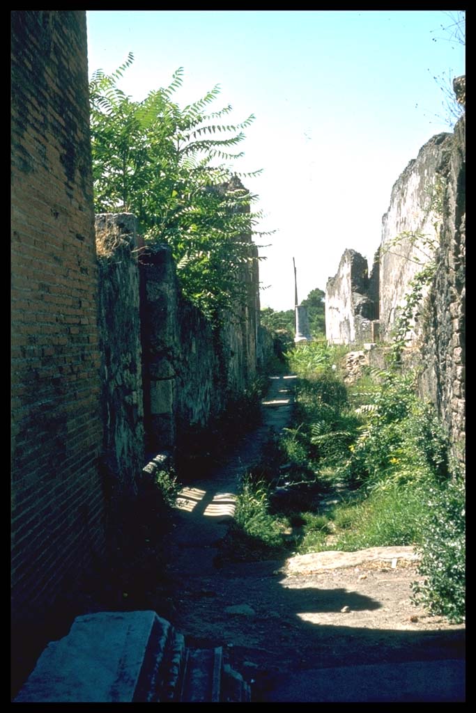 VIII.2.5 Pompeii. Vicolo di Championnet, looking west.
Photographed 1970-79 by Günther Einhorn, picture courtesy of his son Ralf Einhorn.