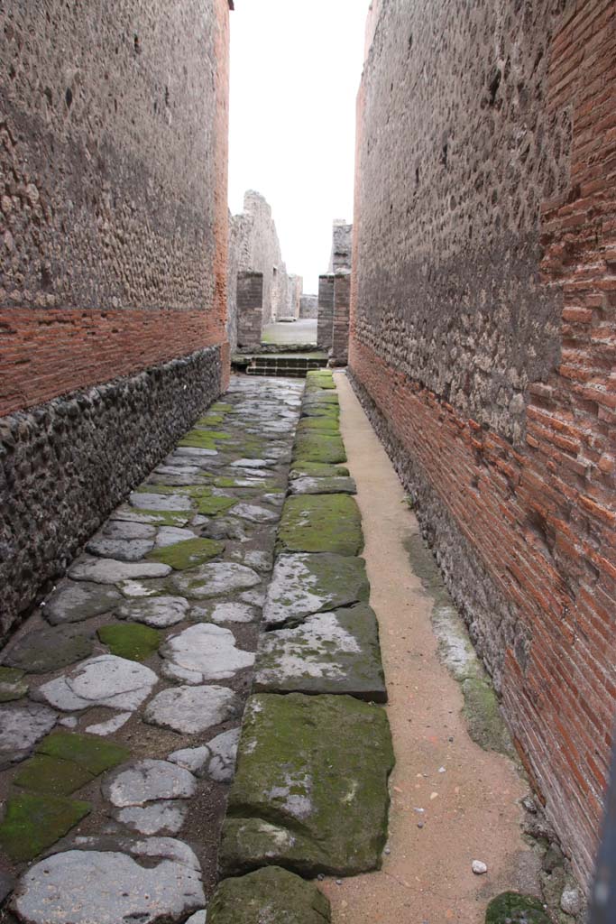 VIII.2.7 Pompeii. October 2020.
Looking south from entrance doorway along Vicolo del Foro to rear. Photo courtesy of Klaus Heese.