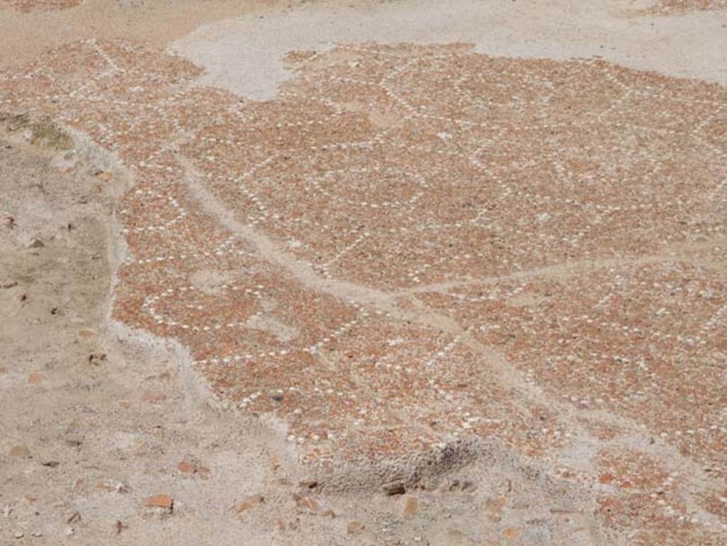 VIII.2.13 Pompeii. May 2018. Flooring of portico and triclinium. Photo courtesy of Buzz Ferebee.