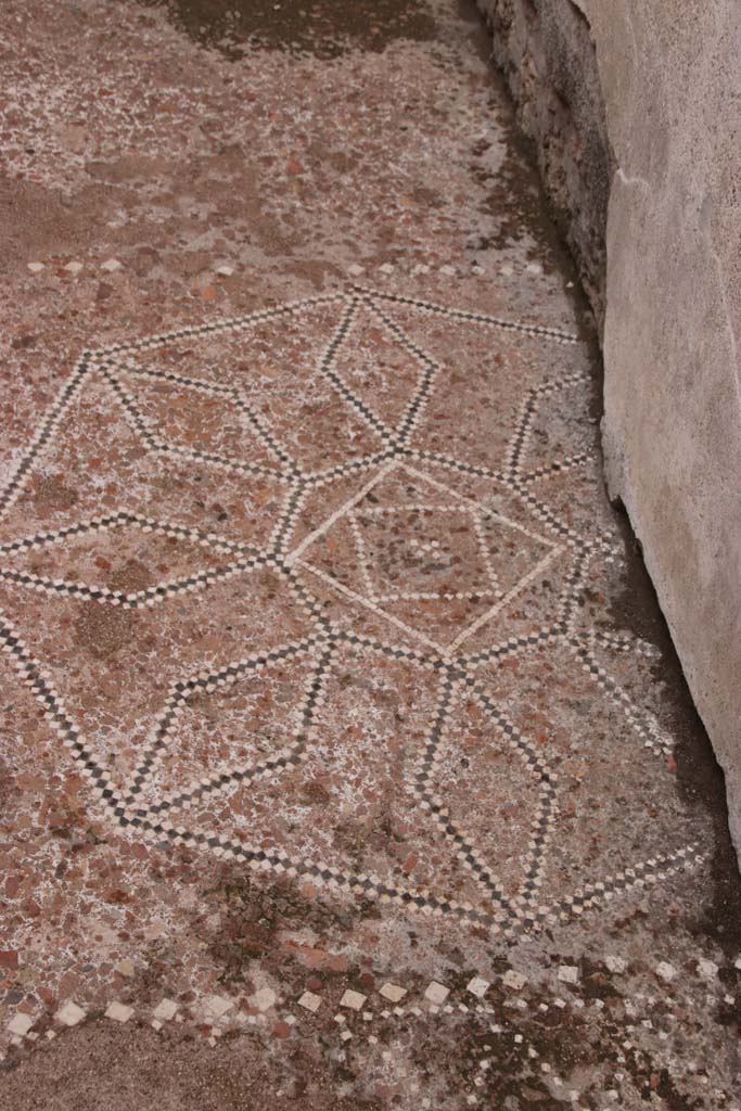VIII.2.13 Pompeii. October 2020. Detail of flooring in room on north side of atrium.
Photo courtesy of Klaus Heese.