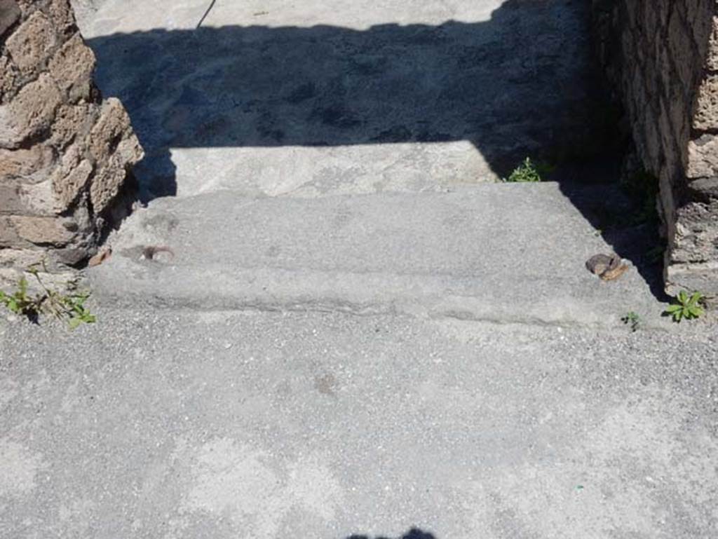 VIII.2.13 Pompeii. May 2018. Threshold of rear doorway from long passageway to rear peristyle. Photo courtesy of Buzz Ferebee.