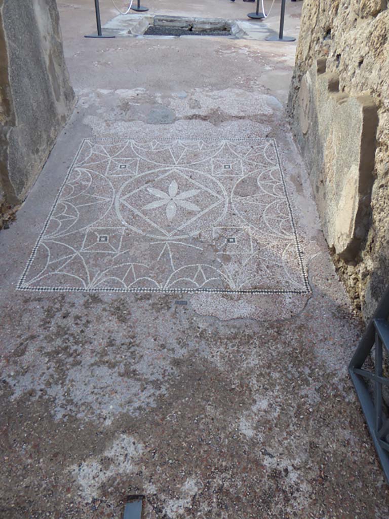 VIII.2.13 Pompeii. January 2017.
Looking west from entrance doorway along flooring in entrance corridor.
Foto Annette Haug, ERC Grant 681269 DÉCOR.