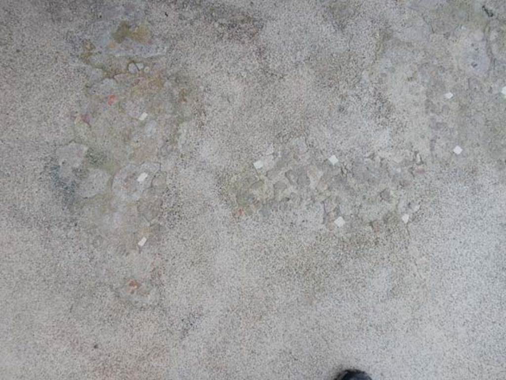 VIII.2.13 Pompeii. May 2018. Detail from floor of atrium. Photo courtesy of Buzz Ferebee.