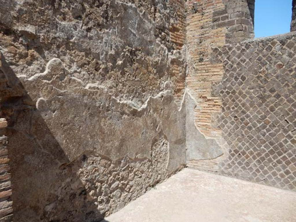 VIII.2.14 Pompeii. May 2018. Looking towards north wall and north-east corner of room on north side of entrance corridor. Photo courtesy of Buzz Ferebee.