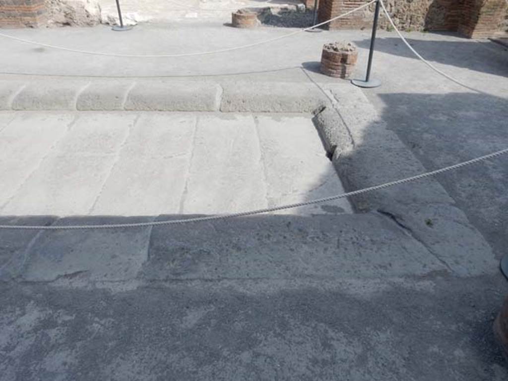 VIII.2.14 Pompeii. May 2017. Looking north across impluvium in atrium. Photo courtesy of Buzz Ferebee.