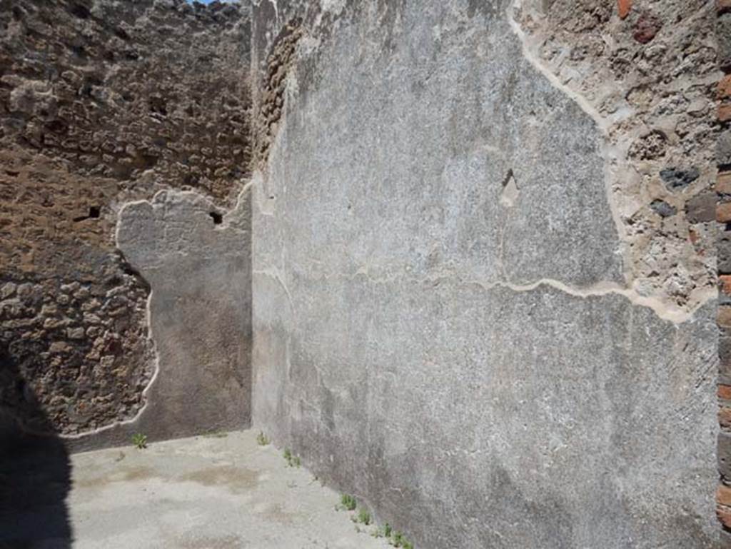 VIII.2.14 Pompeii. May 2018. Looking towards north-east corner of room in north-west corner of atrium.
Photo courtesy of Buzz Ferebee.