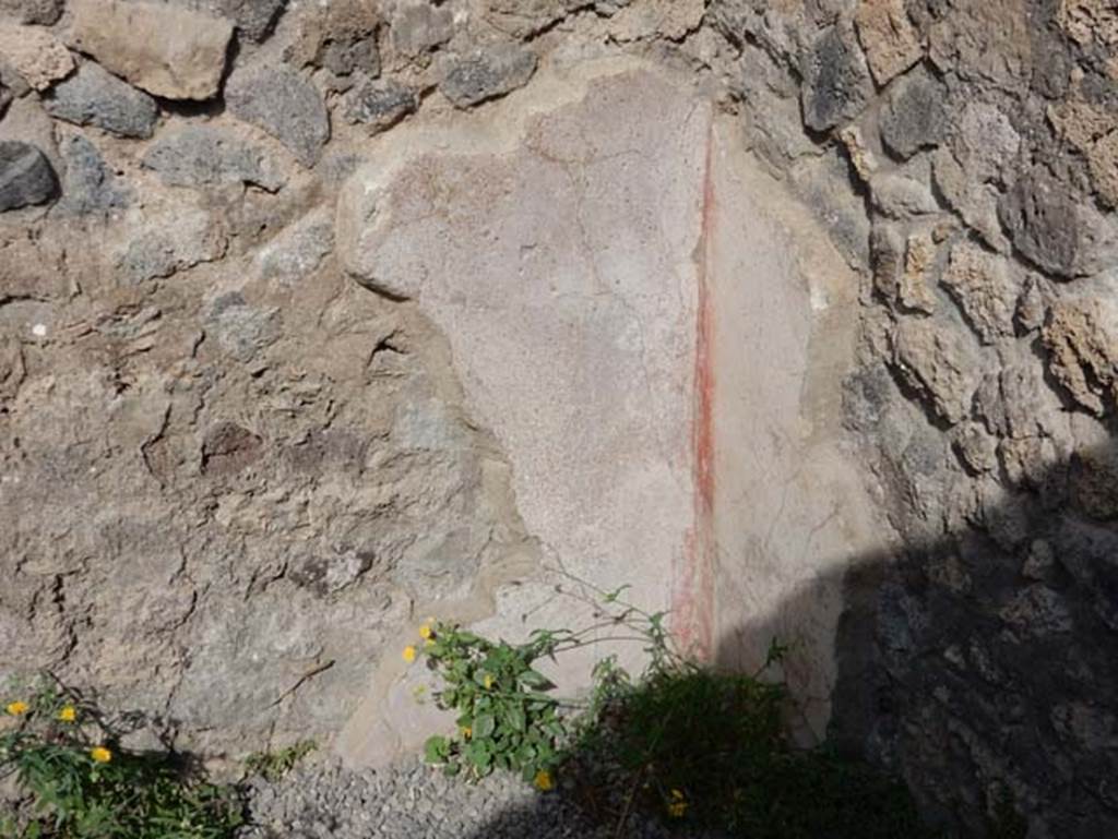 VIII.2.14 Pompeii. May 2017. Looking towards remaining plaster in north-west corner of a rear room. Photo courtesy of Buzz Ferebee.