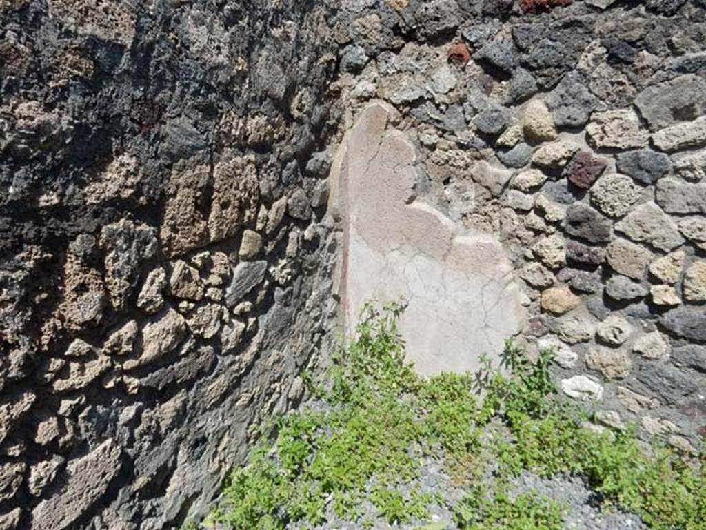 VIII.2.14 Pompeii. May 2018. Remaining painted plaster in north-east corner of a rear room. Photo courtesy of Buzz Ferebee.