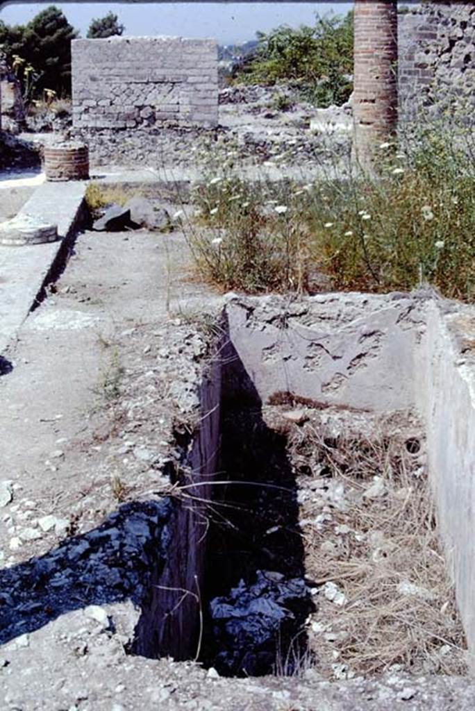 VIII.2.14 Pompeii. 1968. Looking west across south side of peristyle, and across the rectangular pool. Photo by Stanley A. Jashemski.
Source: The Wilhelmina and Stanley A. Jashemski archive in the University of Maryland Library, Special Collections (See collection page) and made available under the Creative Commons Attribution-Non Commercial License v.4. See Licence and use details.
J68f1185