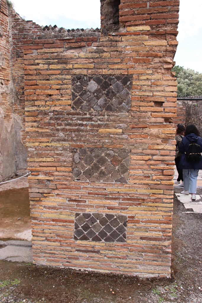 VIII.2.14 Pompeii. May 2024.
Looking towards east side of atrium, detail of wall on north side of entrance corridor.
Photo courtesy of Klaus Heese.