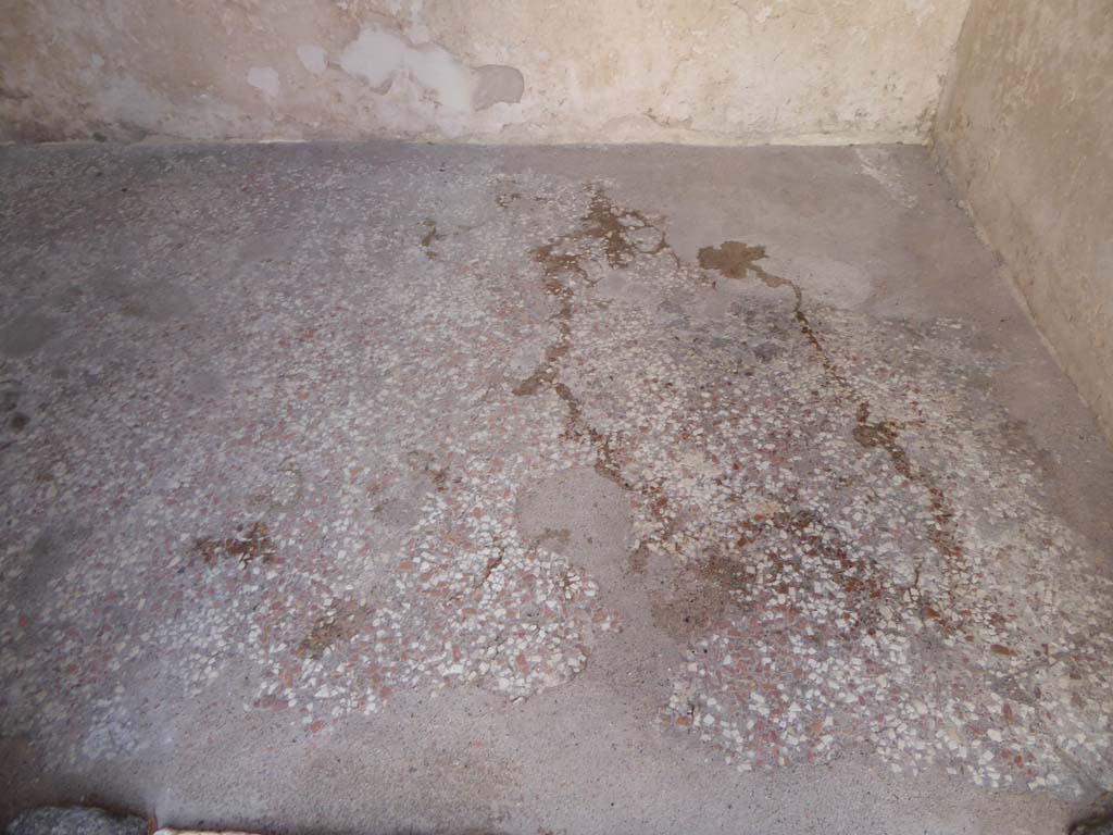 VIII.2.16 Pompeii. January 2017. Looking south across flooring from doorway.
Foto Annette Haug, ERC Grant 681269 DÉCOR