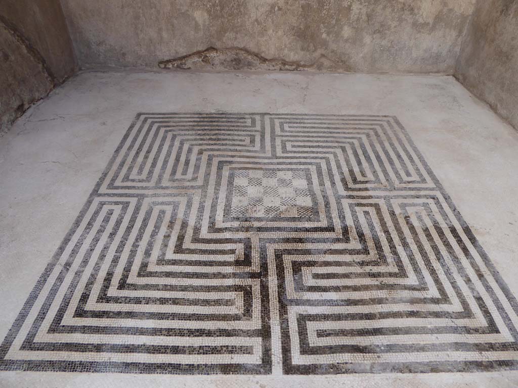 VIII.2.16 Pompeii. January 2017. Mosaic flooring from south ala.
Foto Annette Haug, ERC Grant 681269 DÉCOR