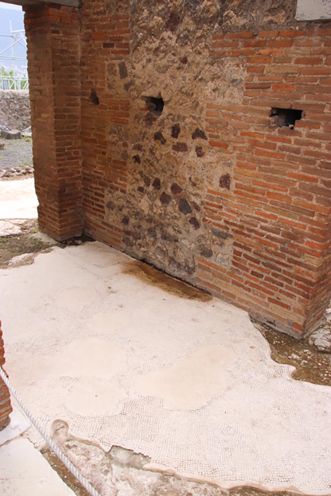 VIII.2.16 Pompeii. May 2024.
Flooring in passageway, looking south. Photo courtesy of Klaus Heese.
