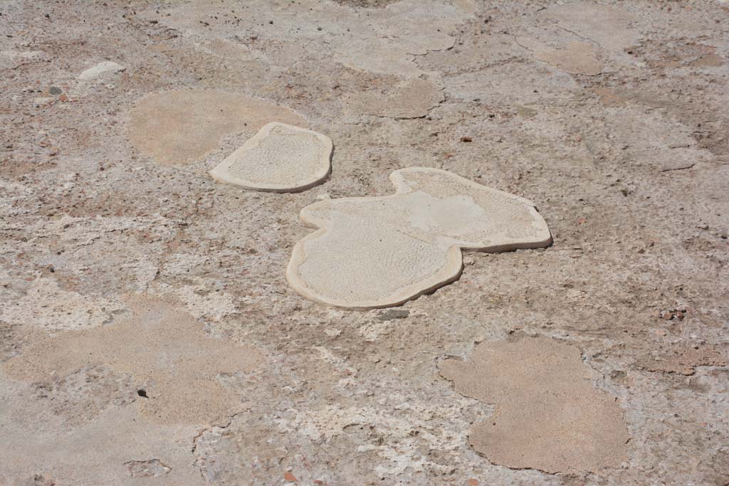 VIII.2.16 Pompeii. September 2019. Detail from flooring in tablinum.
Foto Annette Haug, ERC Grant 681269 DÉCOR.