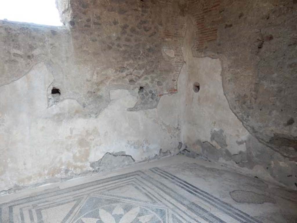VII.2.16 Pompeii. May 2017. Looking towards north-east corner of cubiculum. Photo courtesy of Buzz Ferebee.