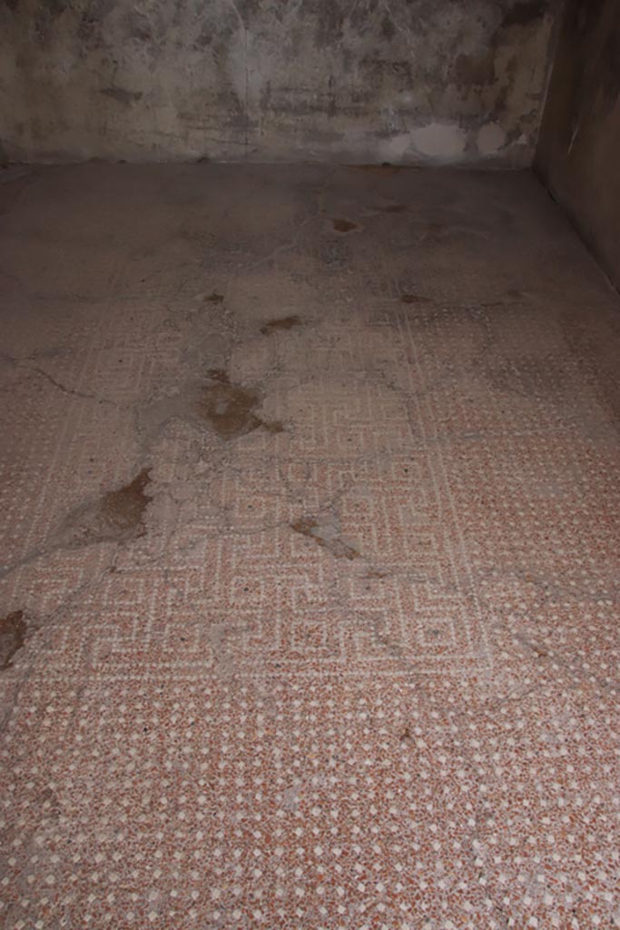 VIII.2.16 Pompeii. May 2024.
Detail of flooring, with net of meanders and squares in centre of floor. Photo courtesy of Klaus Heese.