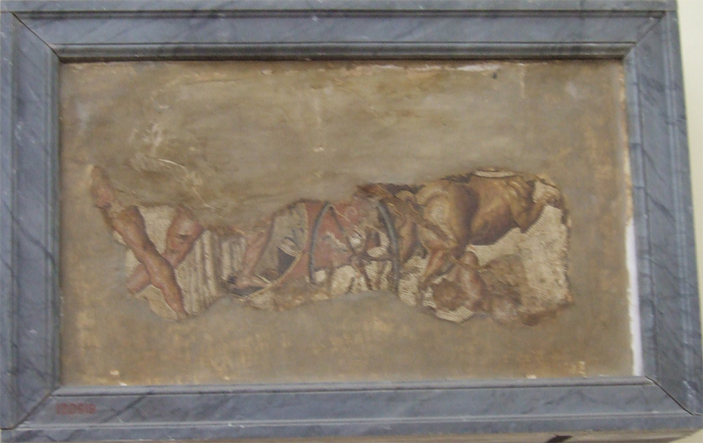 VIII.2.16 Pompeii.
Remains of mosaic of the Rape of the Leucippides (the daughters of Leucippus), on a slab of tufa, found in September 1890.
Now in Naples Archaeological Museum. Inventory number 120619.
Found in a room at the rear of VII.2.14, according to Rom. Mitt, vii, 1892, p.12.
This room was at the rear of the triclinium with the shallow basin.
It would have been in the south-east corner of the northern peristyle, also accessed from a corridor in VIII.2.14.