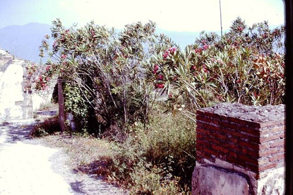 VIII.2.20 Pompeii. 1978. Looking south-east along a corridor on the north side of the small peristyle garden. Photo by Stanley A. Jashemski.
Source: The Wilhelmina and Stanley A. Jashemski archive in the University of Maryland Library, Special Collections (See collection page) and made available under the Creative Commons Attribution-Non Commercial License v.4. See Licence and use details. J78f0232