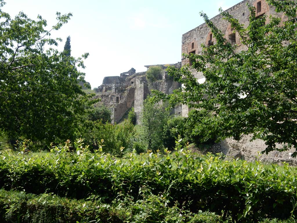 VIII.2.20 Pompeii. June 2019. Looking west from east end towards rear of VIII.2.16, etc.
Photo courtesy of Buzz Ferebee.
