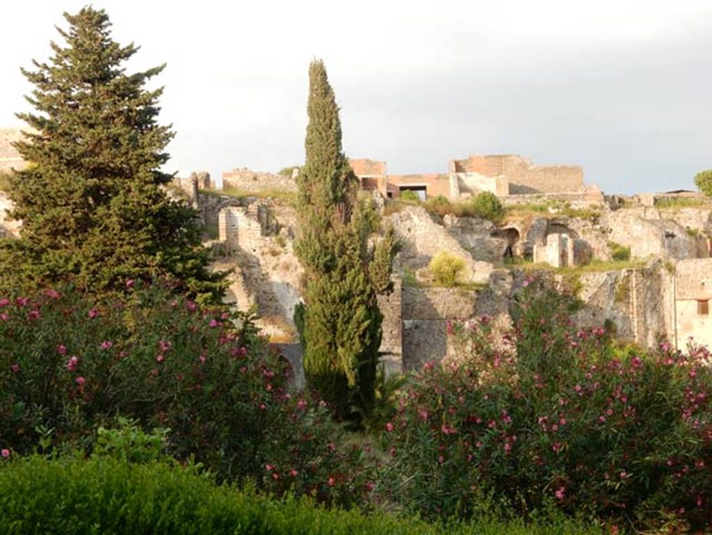 VIII.2.20 Pompeii, May 2018. Sarno Baths complex, on right, and lower areas of VIII.2.16, from the rear. Photo courtesy of Buzz Ferebee.