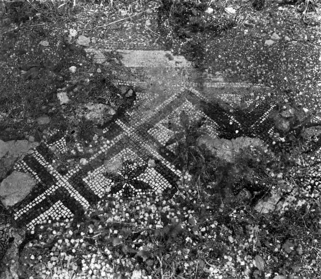 VIII.2.21 Pompeii. c.1930.
Mosaic flooring in triclinium of a pattern of white squares with black edges, each containing a rosette with 6 petals in its centre.
Mosaic flooring showing partly the effects of weed roots penetrating the gaps between the tesserae, and partly of frost.
See Blake, M., (1930). The pavements of the Roman Buildings of the Republic and Early Empire. Rome, MAAR, 8, (p.12, ftn.7, & Pl.1, tav.3).