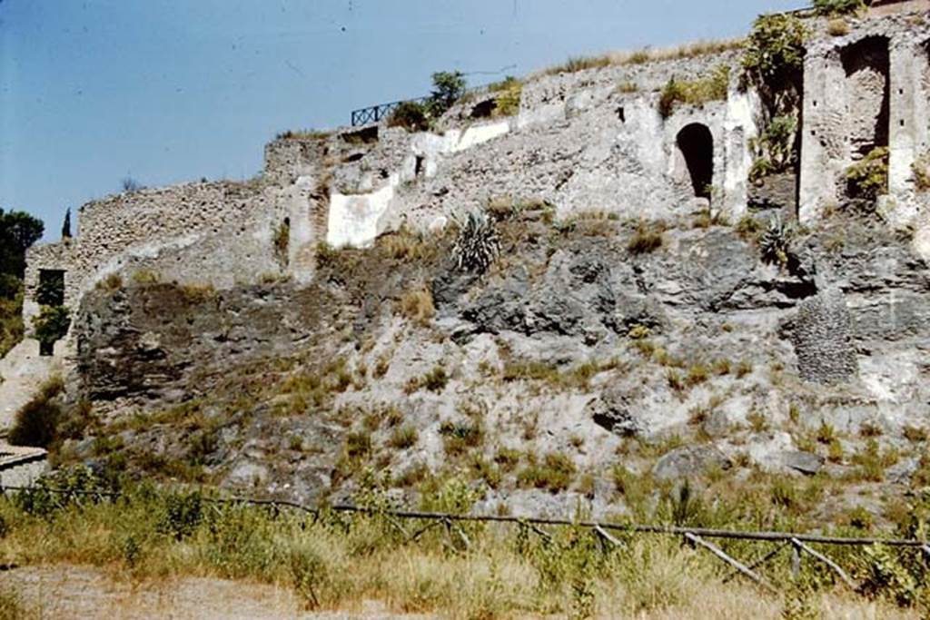 VIII.2.20 to VIII.2.22 Pompeii. 1959. Looking north from rear. Photo by Stanley A. Jashemski.
Source: The Wilhelmina and Stanley A. Jashemski archive in the University of Maryland Library, Special Collections (See collection page) and made available under the Creative Commons Attribution-Non Commercial License v.4. See Licence and use details.
J59f0407