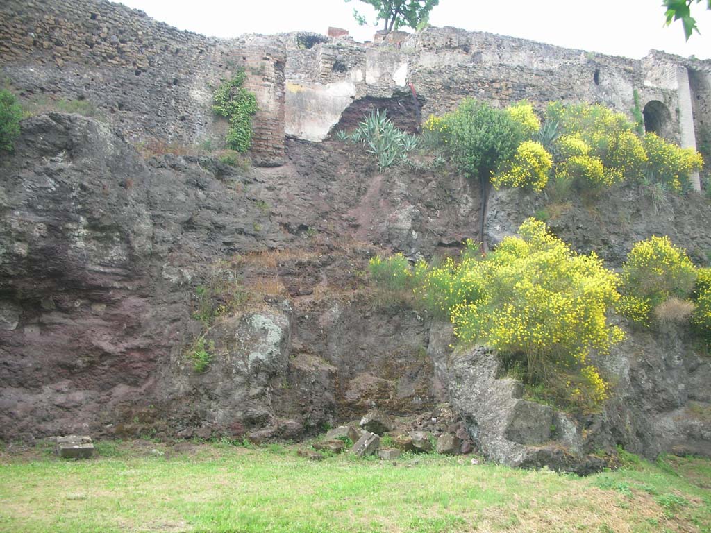 VIII.2.23 Pompeii, taken from the rear, May 2011.
Looking north to walls built above volcanic ledge. Photo courtesy of Ivo van der Graaff.