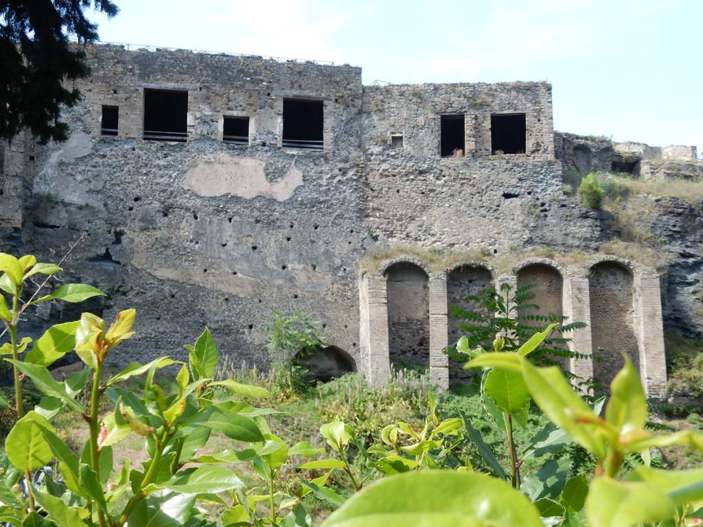 Rear of VIII.2.26, left, VIII.2.28, centre right, and VIII.2.29, on right, Pompeii. June 2019. Looking north.
Photo courtesy of Buzz Ferebee.