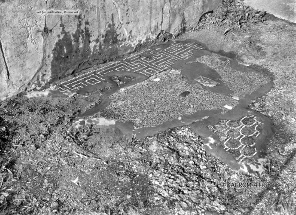 VIII.2.28 Pompeii. c.1930. Entrance vestibule/corridor.
DAIR 41.683. Photo © Deutsches Archäologisches Institut, Abteilung Rom, Arkiv.
See Pernice, E. 1938. Pavimente und Figürliche Mosaiken: Die Hellenistische Kunst in Pompeji, Band VI. Berlin: de Gruyter, (tav. 30.6, above.)
