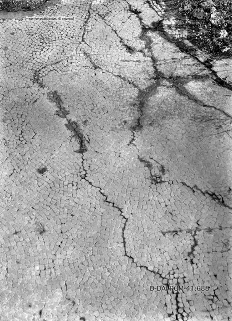 VIII.2.28 Pompeii. c.1930. Flooring in room on the left of the tablinum.
DAIR 41.688. Photo © Deutsches Archäologisches Institut, Abteilung Rom, Arkiv.
See Pernice, E. 1938. Pavimente und Figürliche Mosaiken: Die Hellenistische Kunst in Pompeji, Band VI. Berlin: de Gruyter, (tav. 31.5, above.)