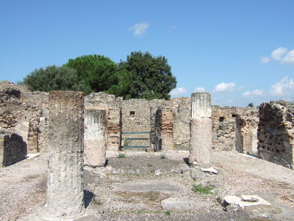 VIII.2.28 Pompeii. September 2005. Looking north across impluvium and columns.