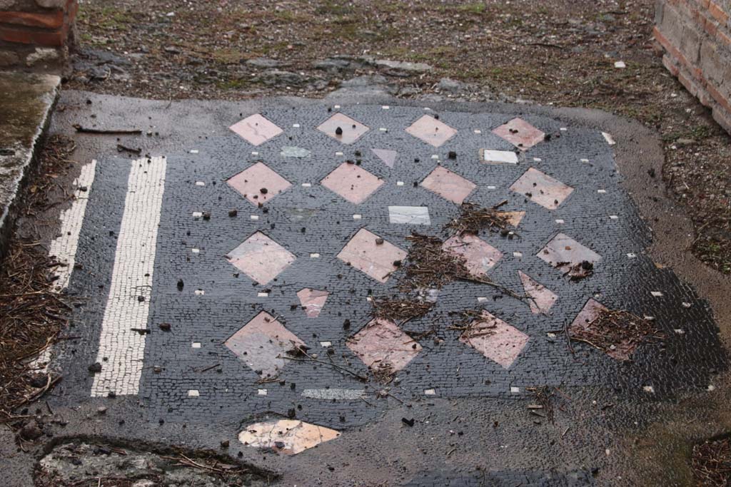 VIII.2.29 Pompeii. October 2020. Detail of mosaic in entrance corridor. Photo courtesy of Klaus Heese.