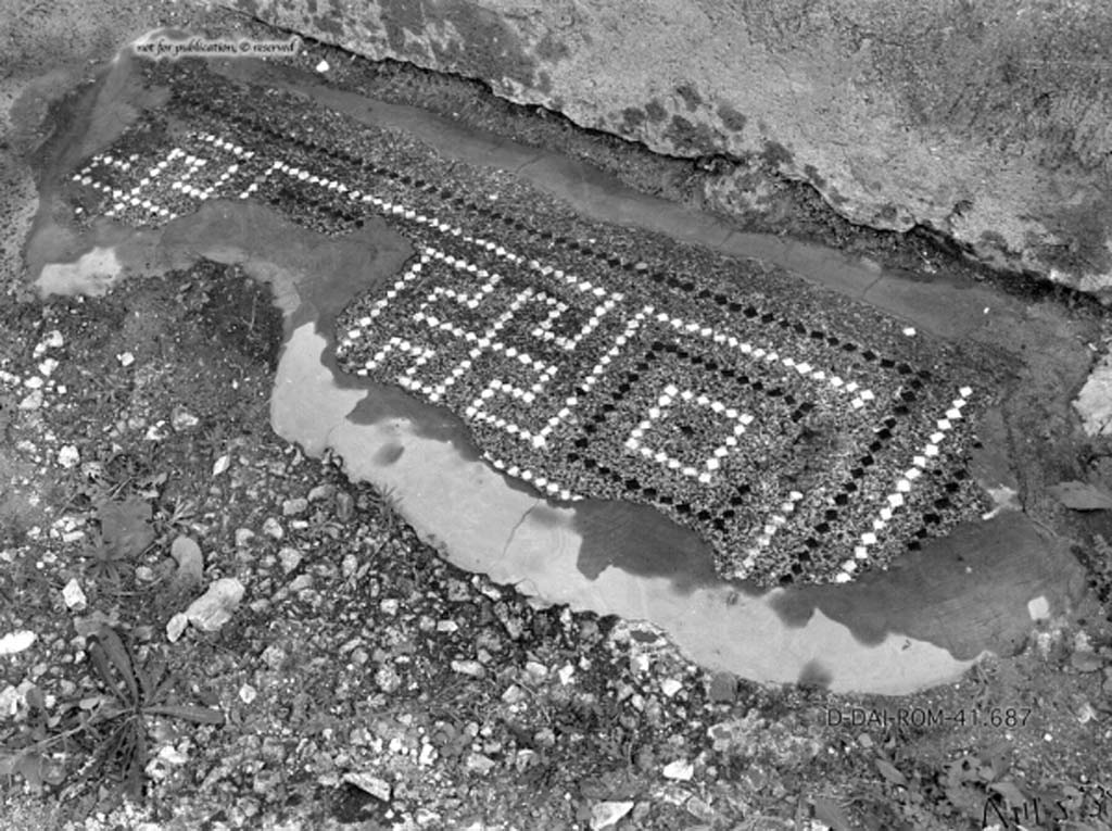 VIII.2.30 Pompeii. c.1930. A fragment of the flooring in vestibule, of cocciopesto with alternating meanders and squares.
DAIR 41.687. Photo © Deutsches Archäologisches Institut, Abteilung Rom, Arkiv.
See Pernice, E. 1938. Pavimente und Figürliche Mosaiken: Die Hellenistische Kunst in Pompeji, Band VI. Berlin: de Gruyter, (tav. 31.4, above.)