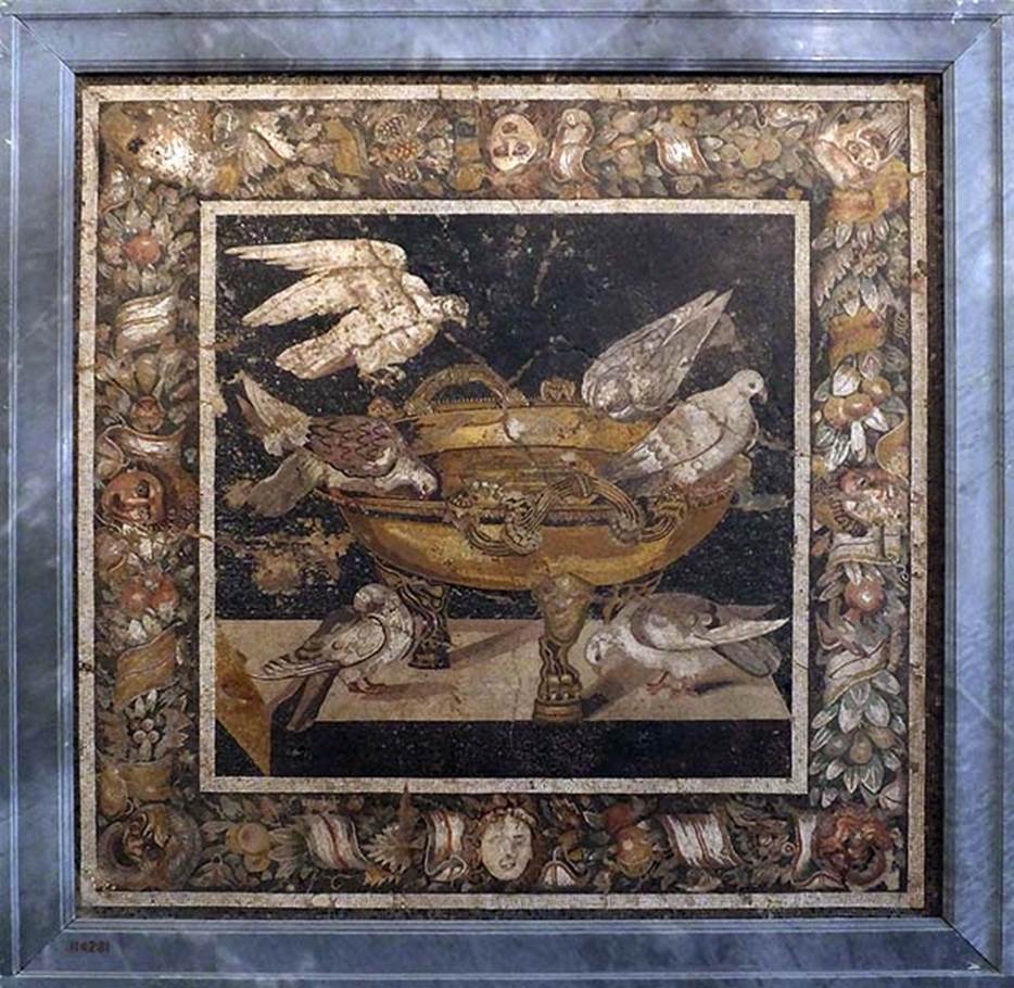 VIII.2.34 Pompeii. Emblema from floor, found in March 1885 in room ‘n’.
Mosaic of three doves on a water basin with three legs in the form, of lion’s feet.
A fourth dove is about to land and two more are on the shelf below.
Now in Naples Archaeological Museum. Inventory number 114281.
See Notizie degli Scavi di Antichità, 1885, (p.162).
See Mau, in Bullettino dell’Instituto di Corrispondenza Archeologica (DAIR), 1886, (p.151)