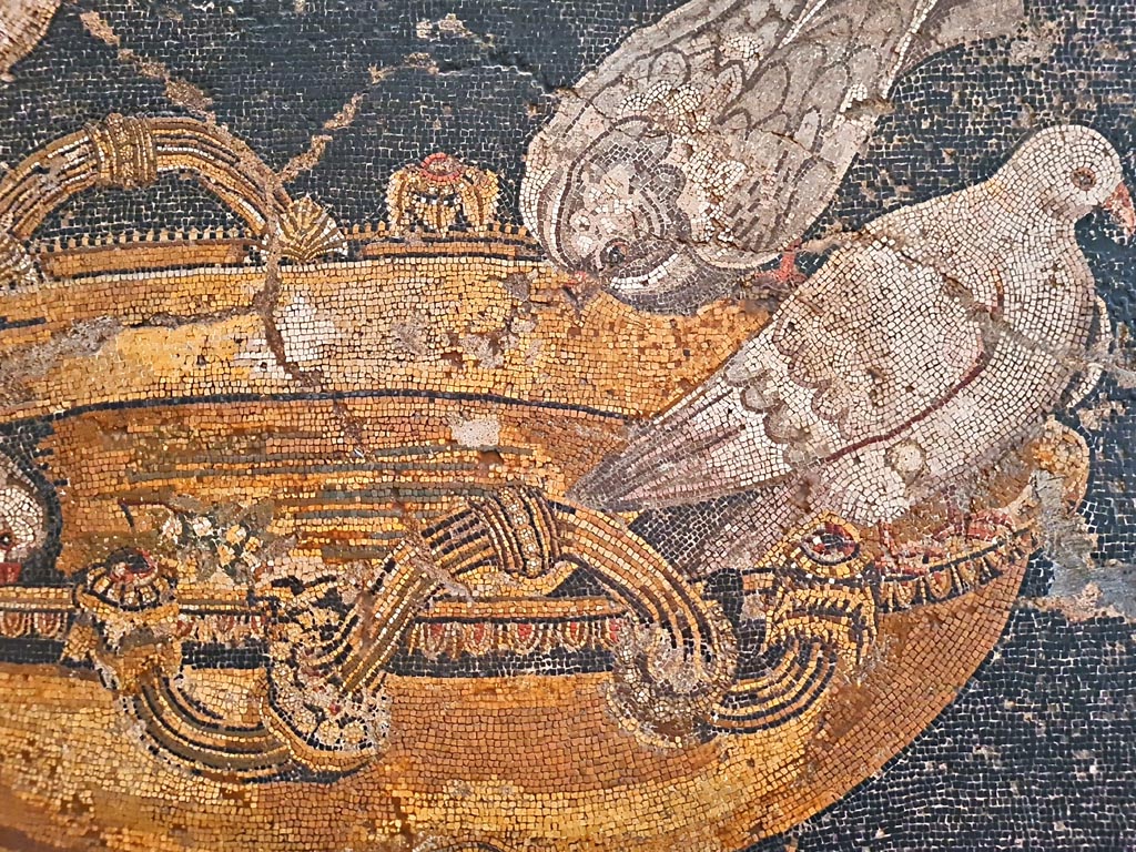 VIII.2.34 Pompeii. Detail of two Doves on water basin, from floor emblema, found in March 1885 in room ‘n’.
Now in Naples Archaeological Museum. Inventory number 114281. Photo courtesy of Giuseppe Ciaramella. September 2024.