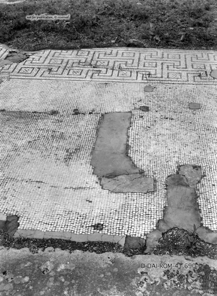 VIII.2.34 Pompeii. c.1930. Room “m”, flooring in tablinum.
DAIR 41.690. Photo © Deutsches Archäologisches Institut, Abteilung Rom, Arkiv.
See Pernice, E. 1938. Pavimente und Figürliche Mosaiken: Die Hellenistische Kunst in Pompeji, Band VI. Berlin: de Gruyter, (tav. 32.1, above.)