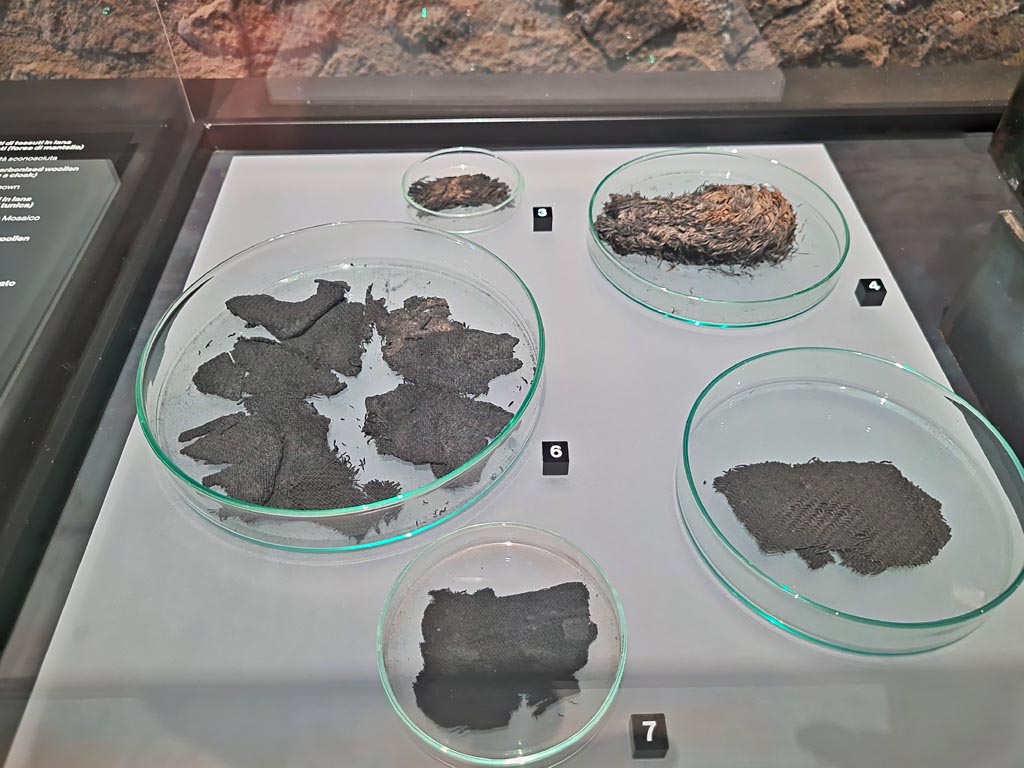 VIII.2.34 Pompeii. March 2024. Photo courtesy of Giuseppe Ciaramella.
No. 6 – Fragments of carbonised woollen fabrics (perhaps a tunic), Ist century AD.
(No. 6 - Frammenti di tessuti in lana carbonizzati (forse di tunica), I sec, d.C).
On display in exhibition in Palaestra entitled – “L’altra Pompei, vite comuni all’ombra del Vesuvio”.