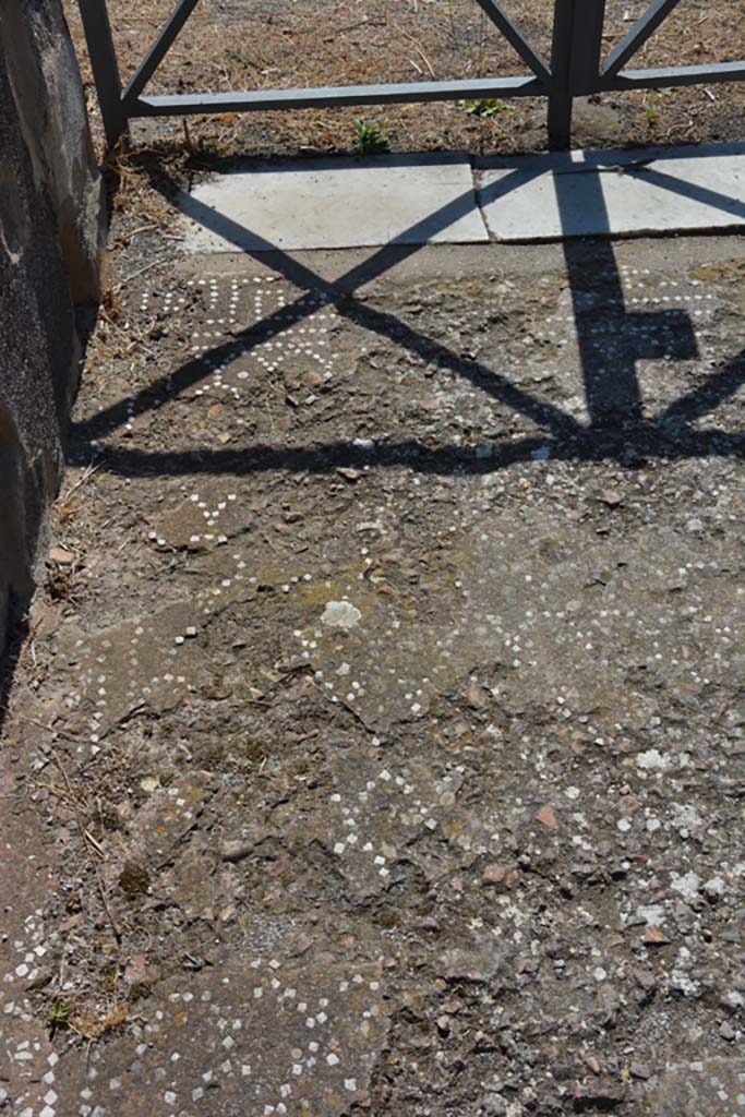 VIII.2.34 Pompeii. September 2019. Detail of flooring in entrance corridor at east side of south end.
Foto Annette Haug, ERC Grant 681269 DÉCOR.