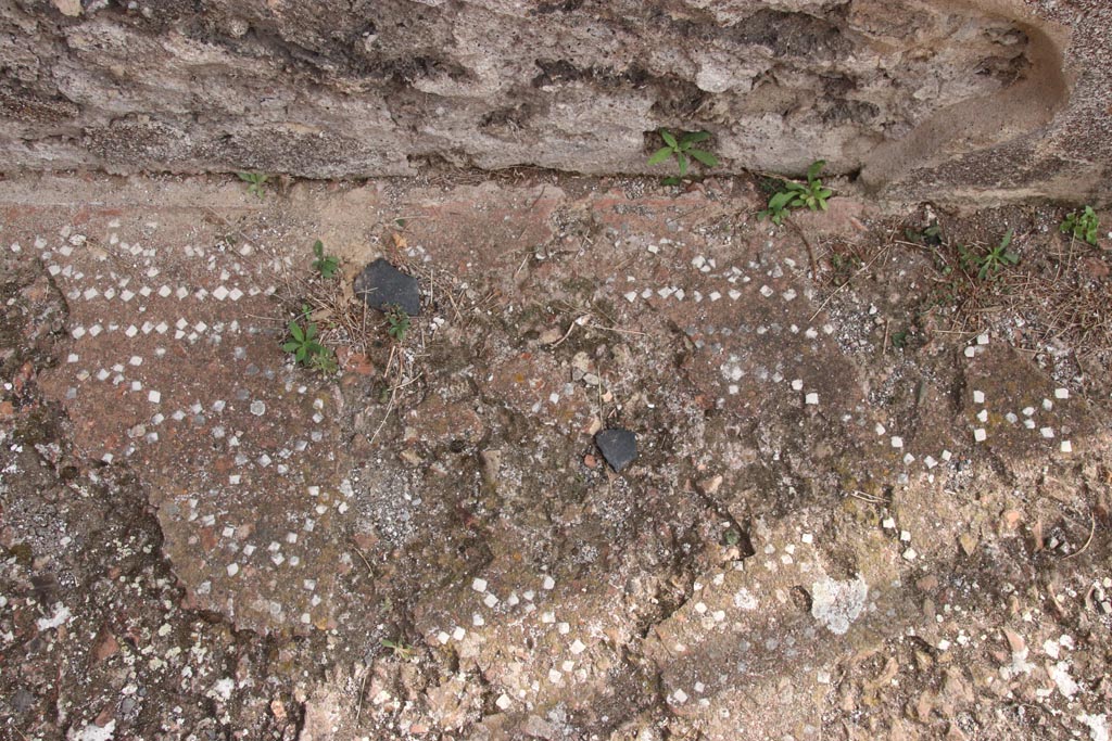 VIII.2.34 Pompeii. October 2023. Detail of flooring near east wall. Photo courtesy of Klaus Heese.