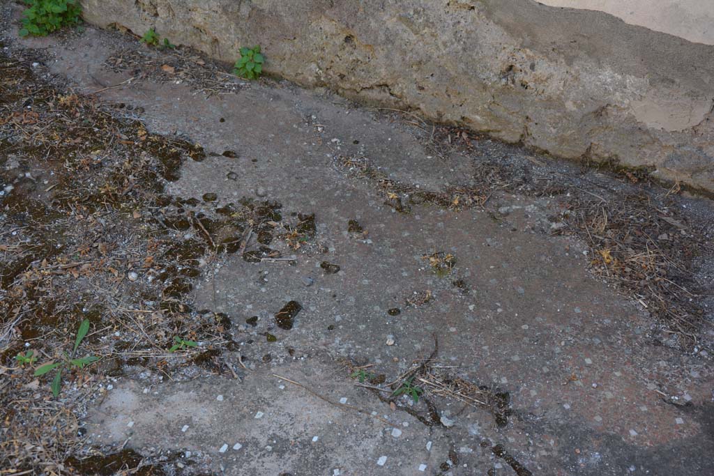 VIII.2.34 Pompeii. September 2019. Cubiculum ‘e’, detail of flooring near south wall.
Foto Annette Haug, ERC Grant 681269 DÉCOR.